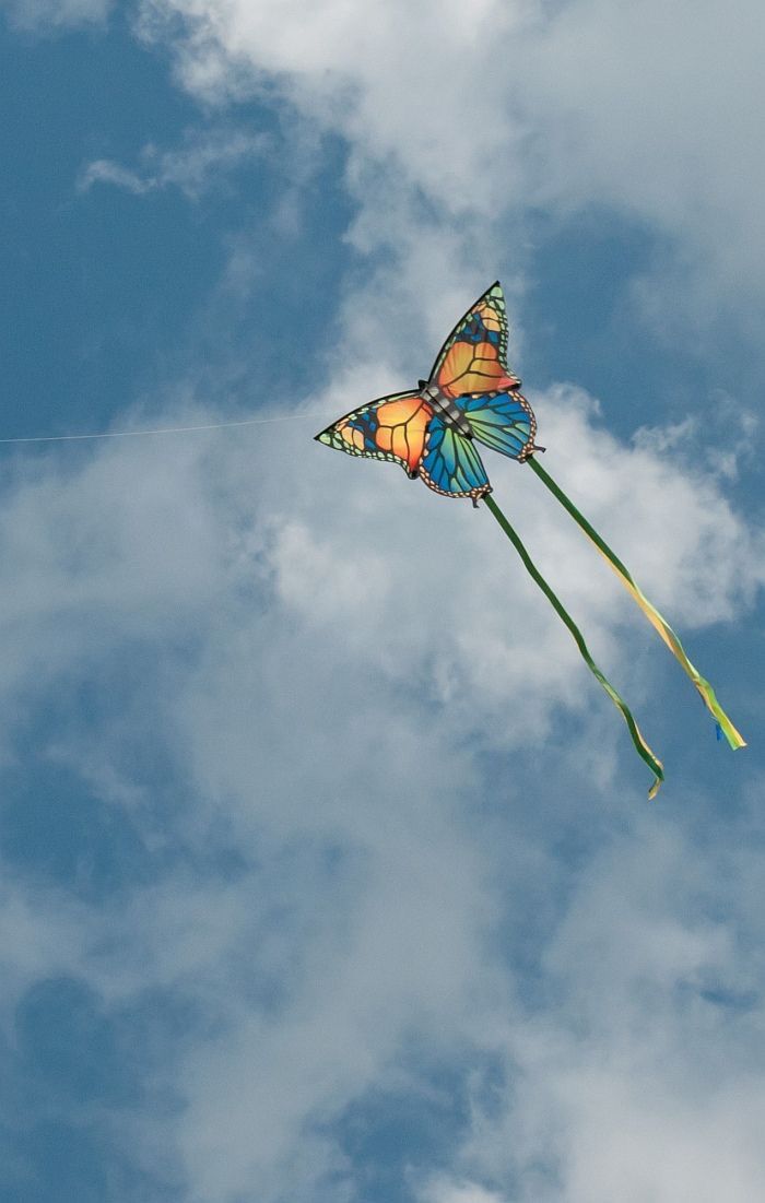 Fighter kite